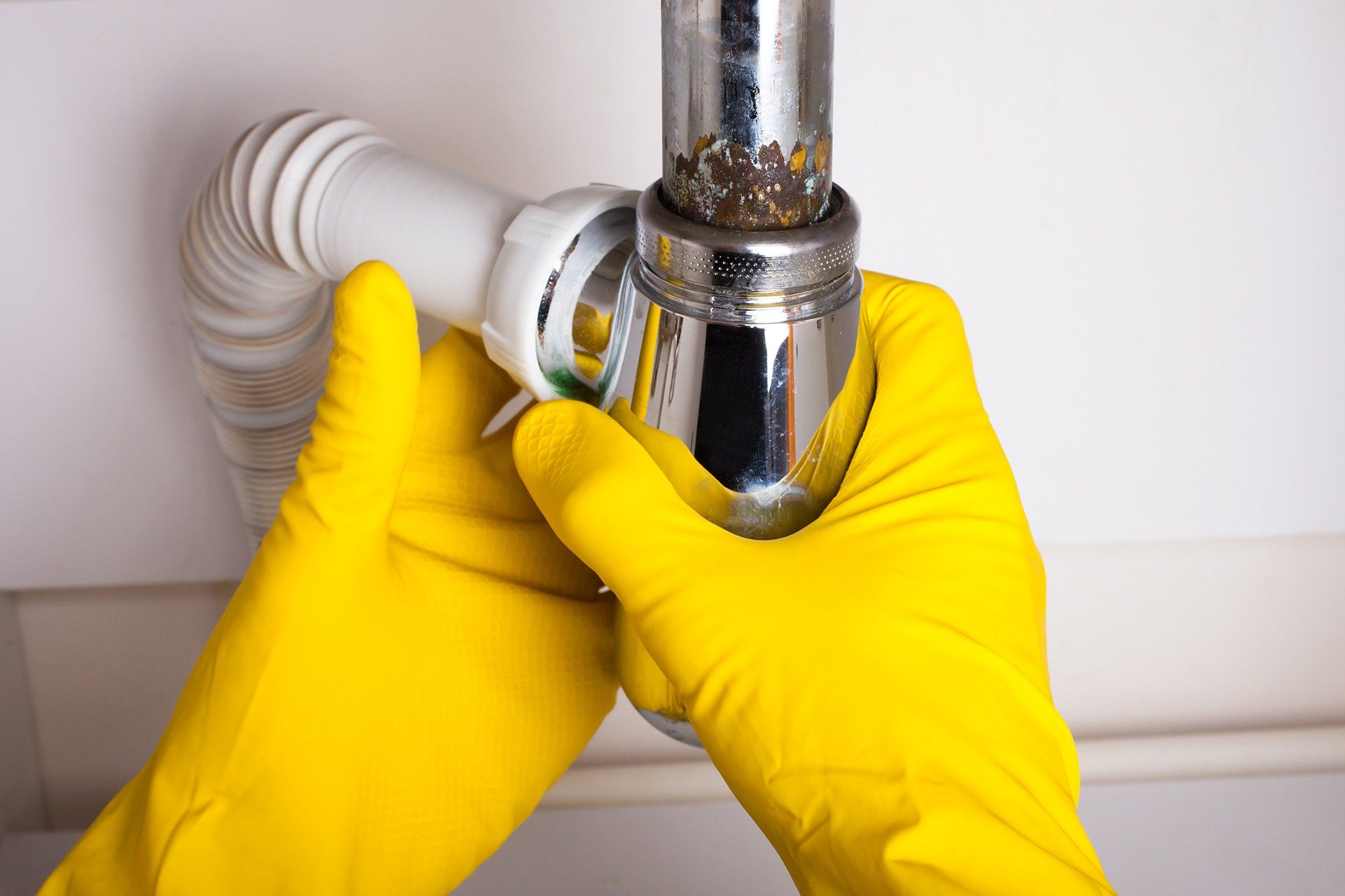 Drain Inspection